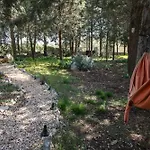 Parco Alta Murgia Cassano delle Murge
