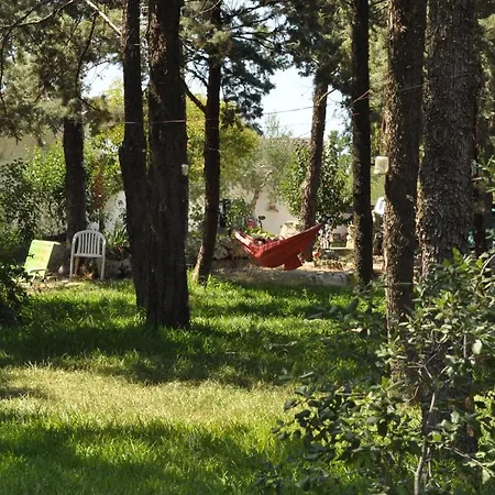 Parco Alta Murgia