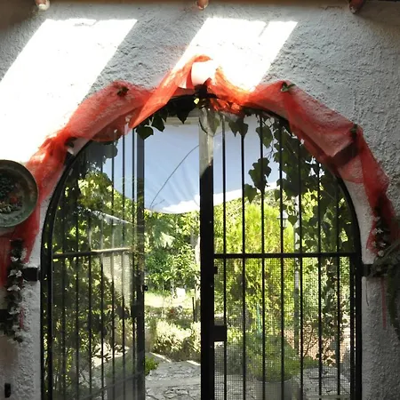 Parco Alta Murgia *