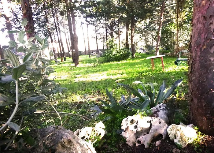 Apartment Parco Alta Murgia *