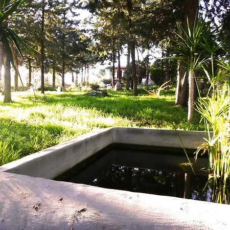 Parco Alta Murgia