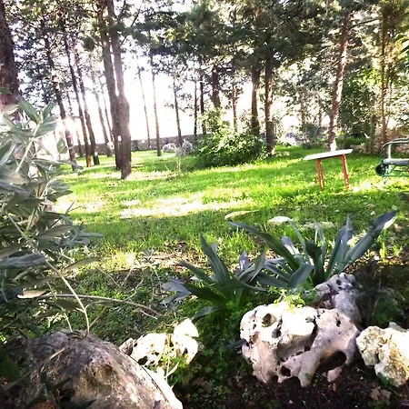 Apartament Parco Alta Murgia *